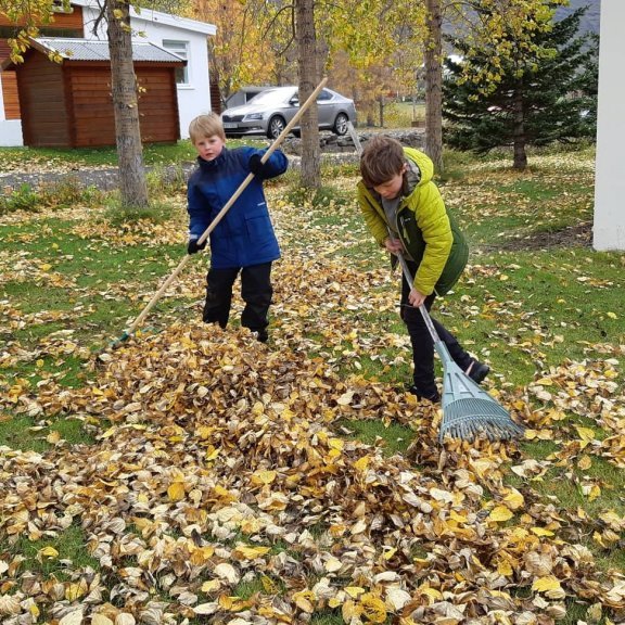 72453462_1386798581482969_5032234110651727872_n