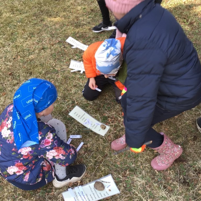 thumbnail_5007bc81-590f-4b2d-9f1e-6a3e3ab45fea