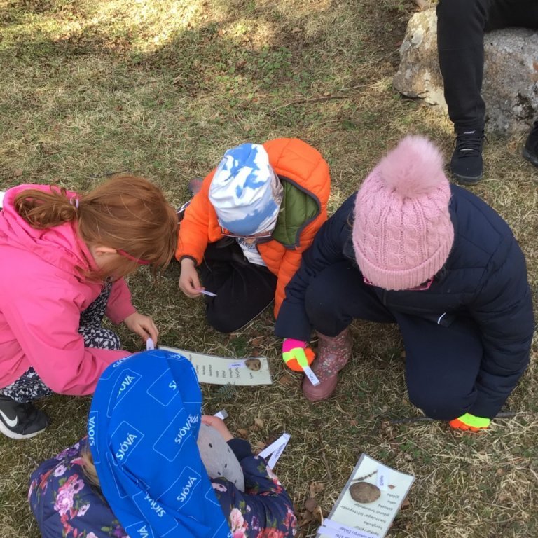 thumbnail_91bc3828-d03e-448a-a5cf-ddc09833ac04