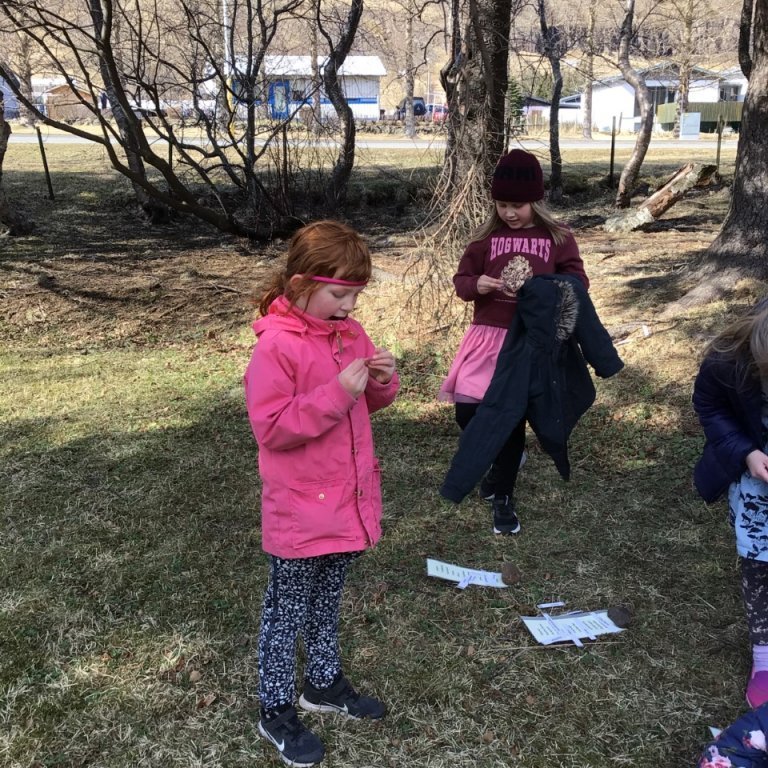 thumbnail_fea21df0-7aed-42e6-9164-b0b31863cb2d