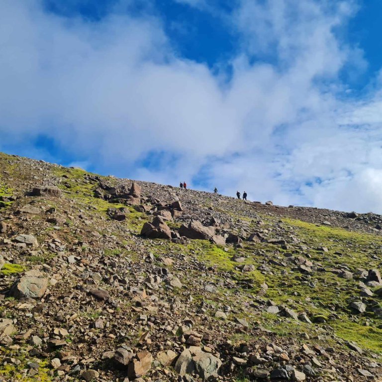 456611584_352534784493340_7774826664324879536_n