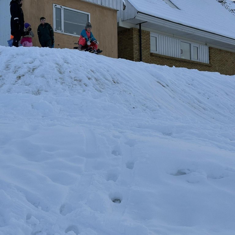 385520789_258080420347116_2366795215201563027_n