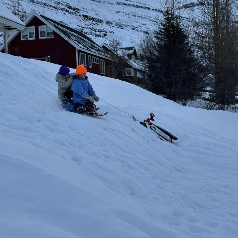 385539910_1341318779855571_7545622054254340259_n