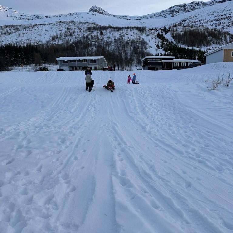 410459011_344107901574304_6931463999587523635_n