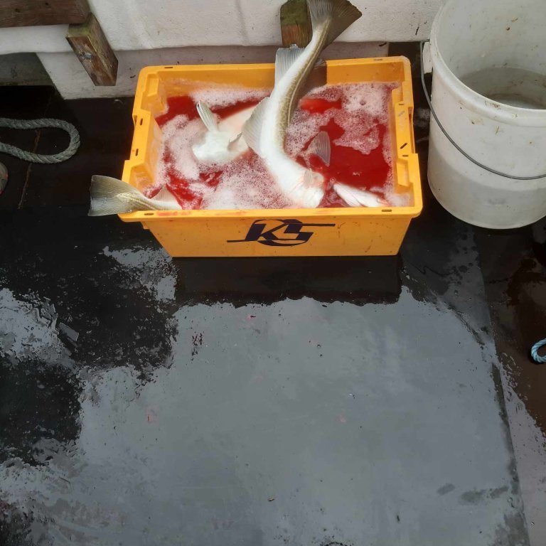 371114454_268504106038372_307586351292851895_n