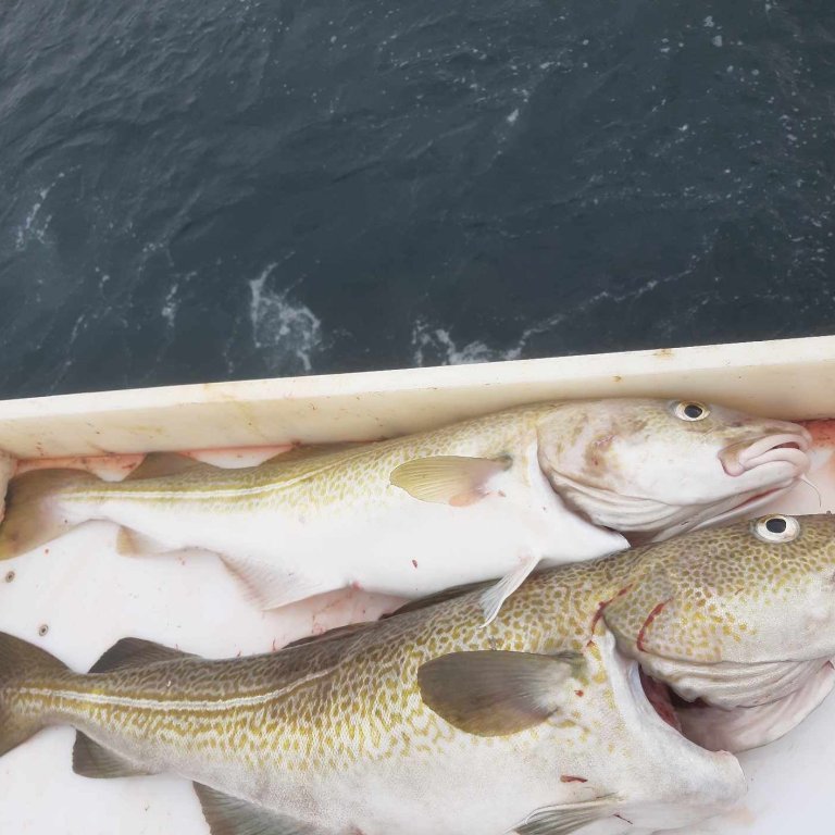 371142995_641031431462746_7351608322411064452_n