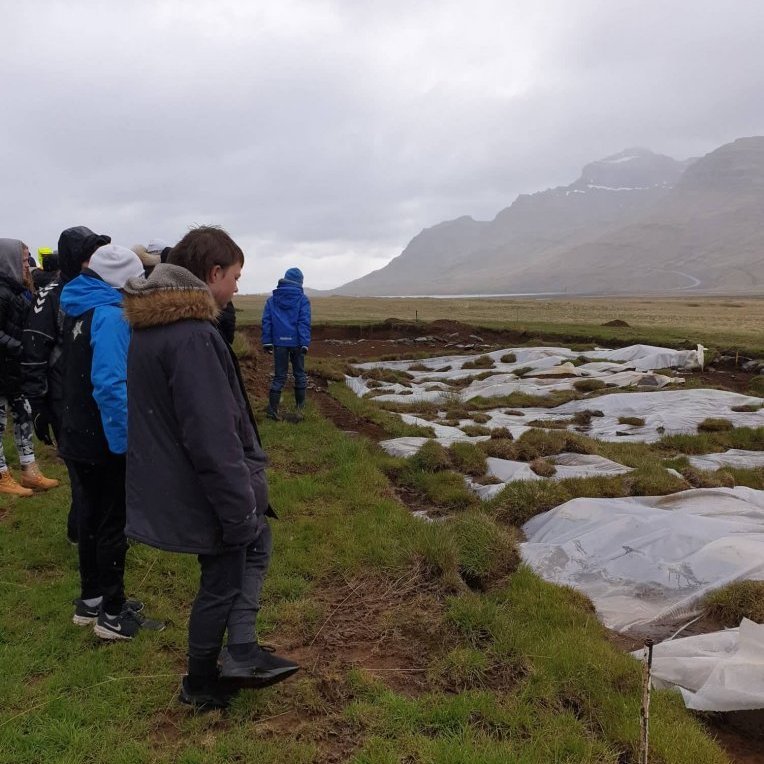 61667257_386447238654067_237526384551919616_n