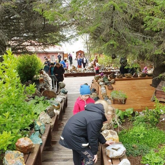 61764711_2254066561477447_6842745344845938688_n