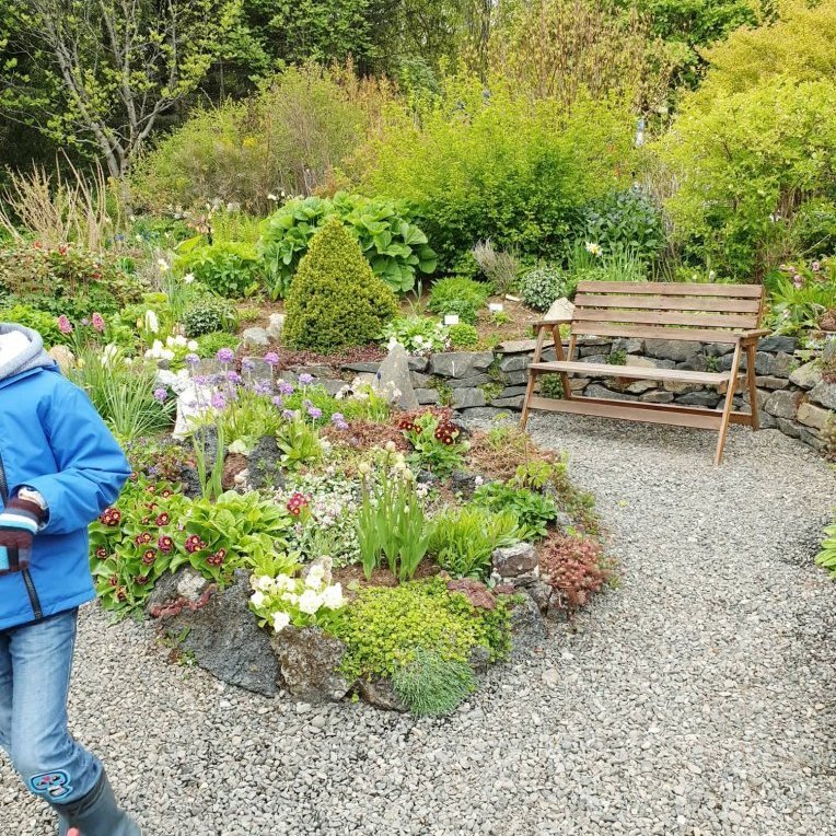 61995588_2498463230197719_8565655528422768640_n