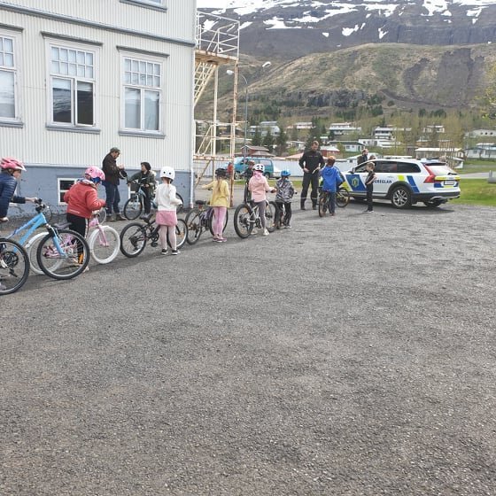 198234363_190572552978565_781872544705974799_n