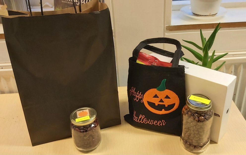 Sigurvegarar í giskleik á dögum myrkurs á bókasafninu