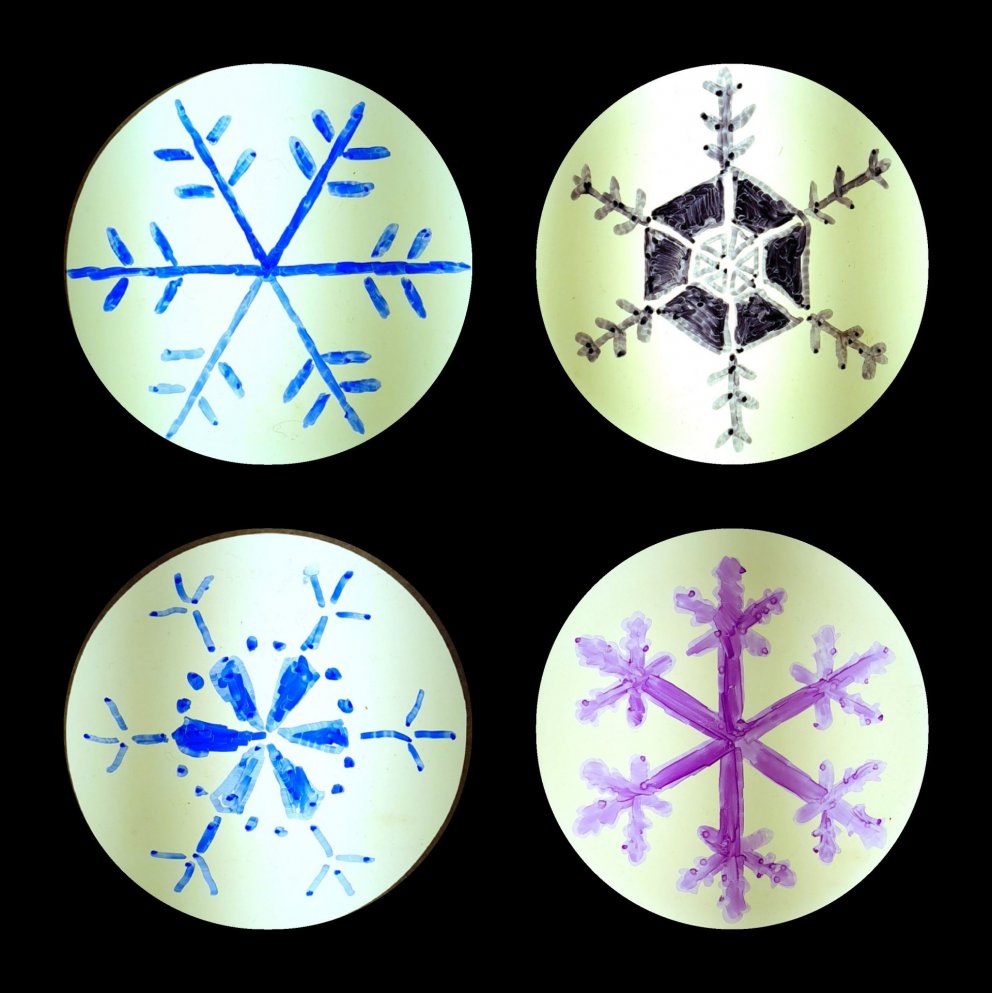 Nemendur í myndmennt sýna verkefni sin á List í ljósi