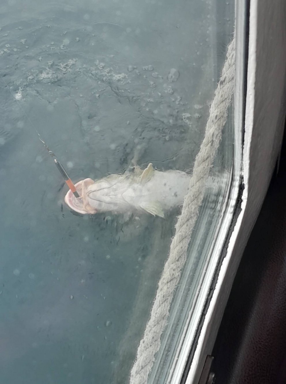 Sjóstangveiði með Þórbergi Torfasyni