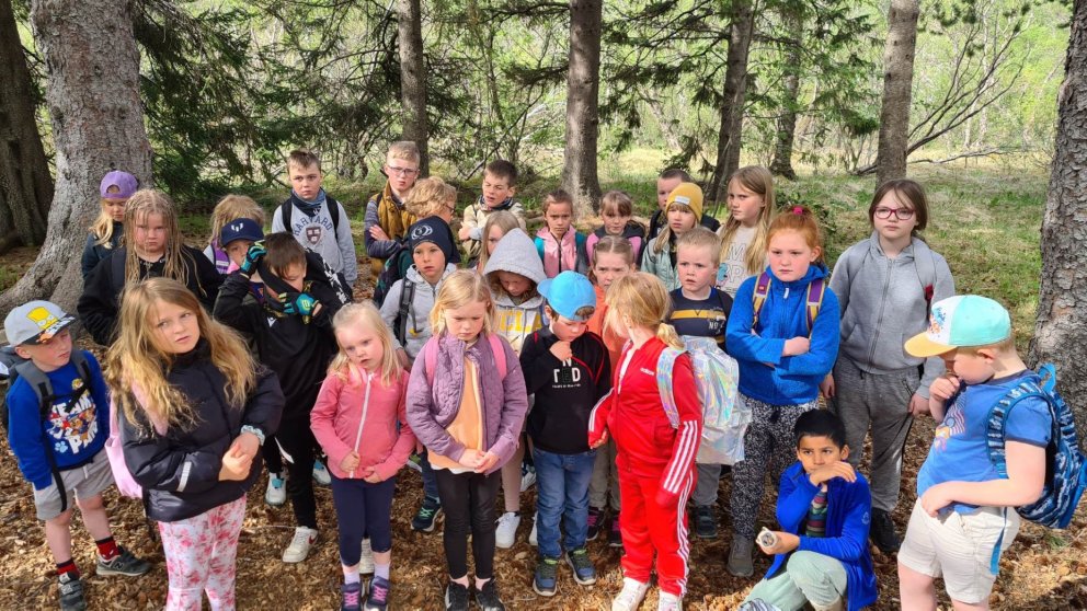 Myndir frá vordögum