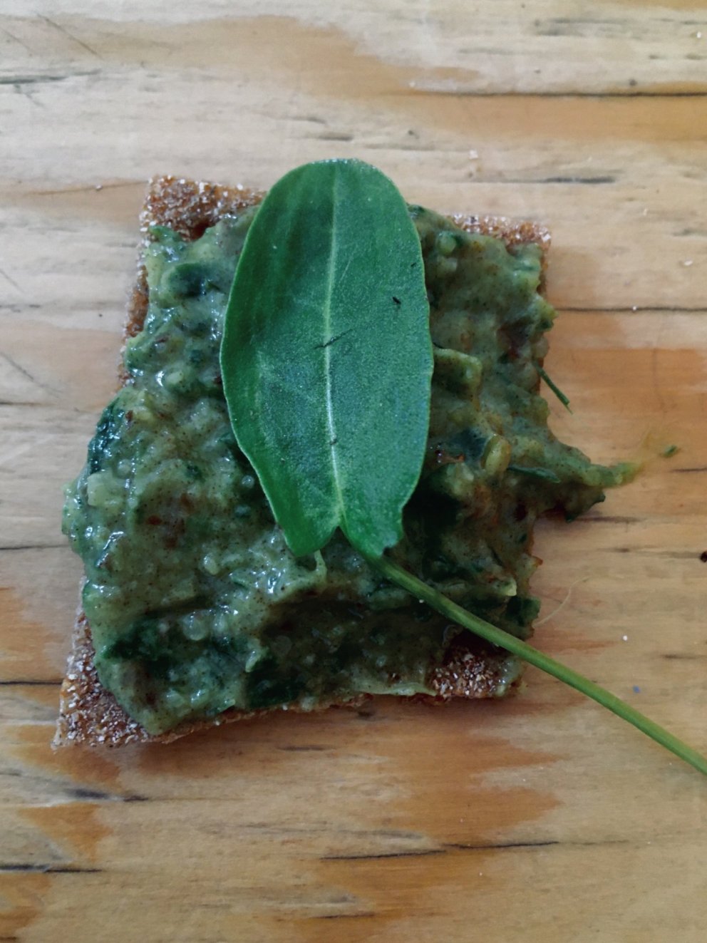 Dagur íslenskrar náttúru á leikskóladeild