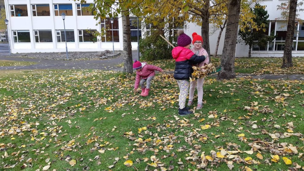 Leikið í Skólaseli