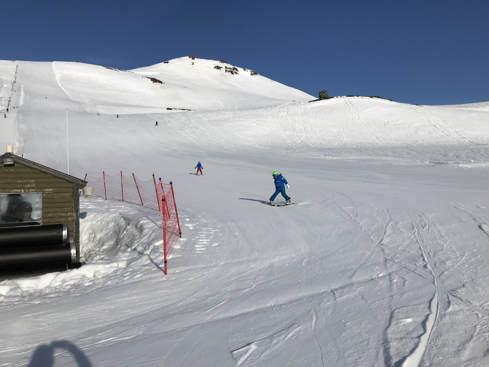 Myndir frá skíðadegi 20. mars