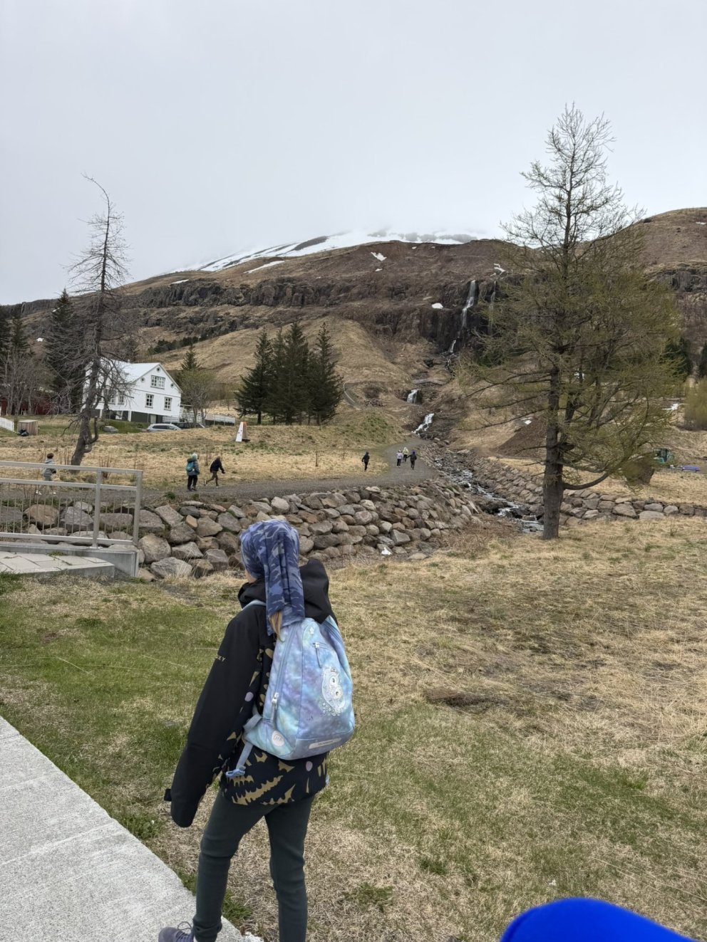 Múlaleikar á Seyðisfirði