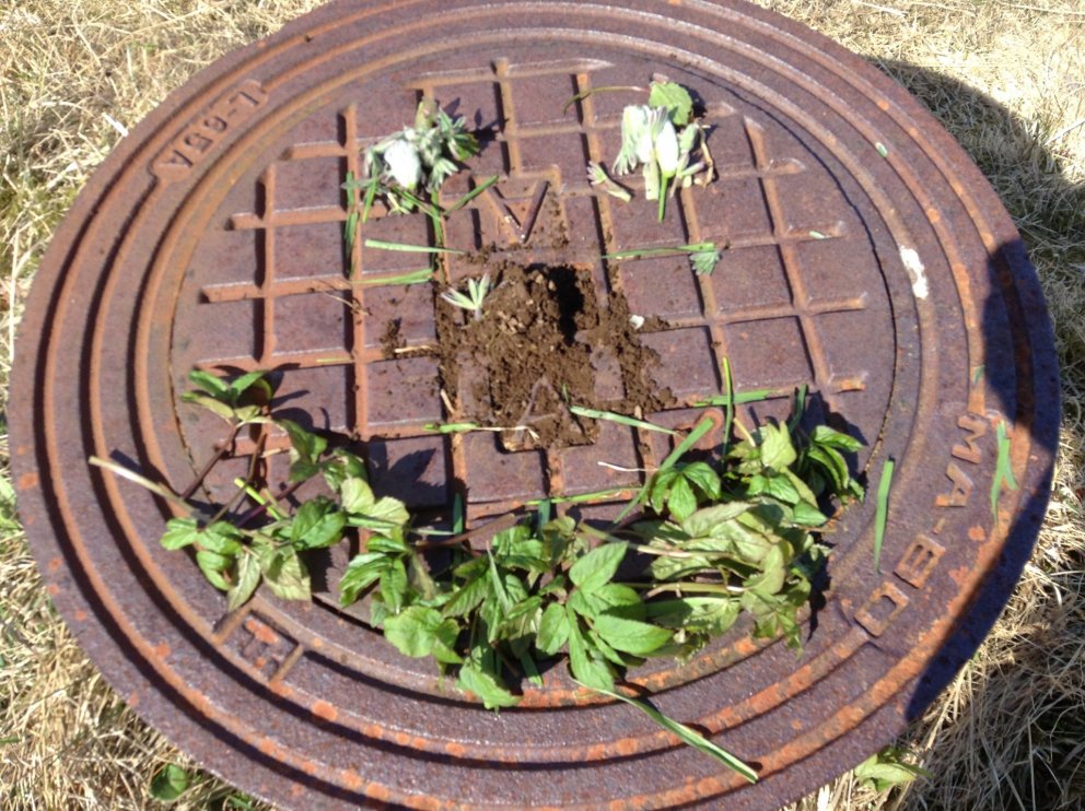 Nemendur á miðstigi fóru út í góða veðrið