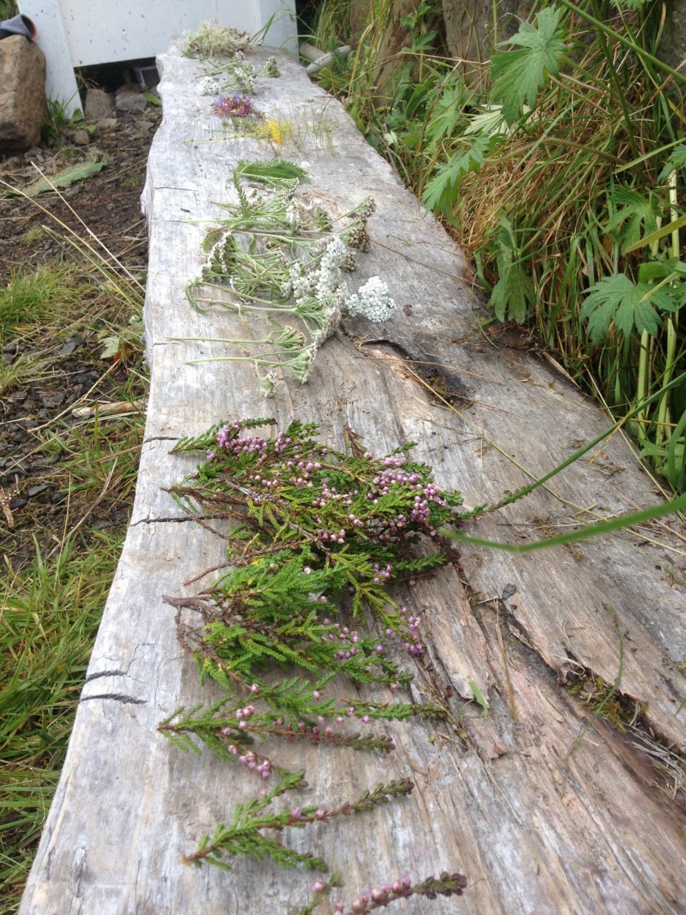 Haustverkin í heimilisfræði