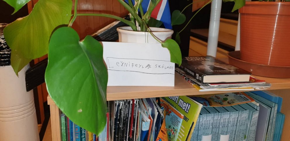 Leynifélag skólans