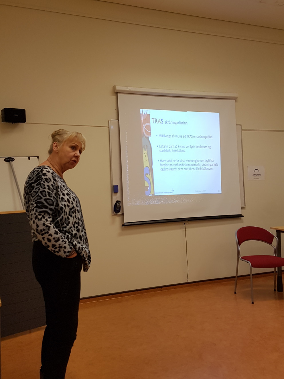 Endurmenntun leikskólakennara