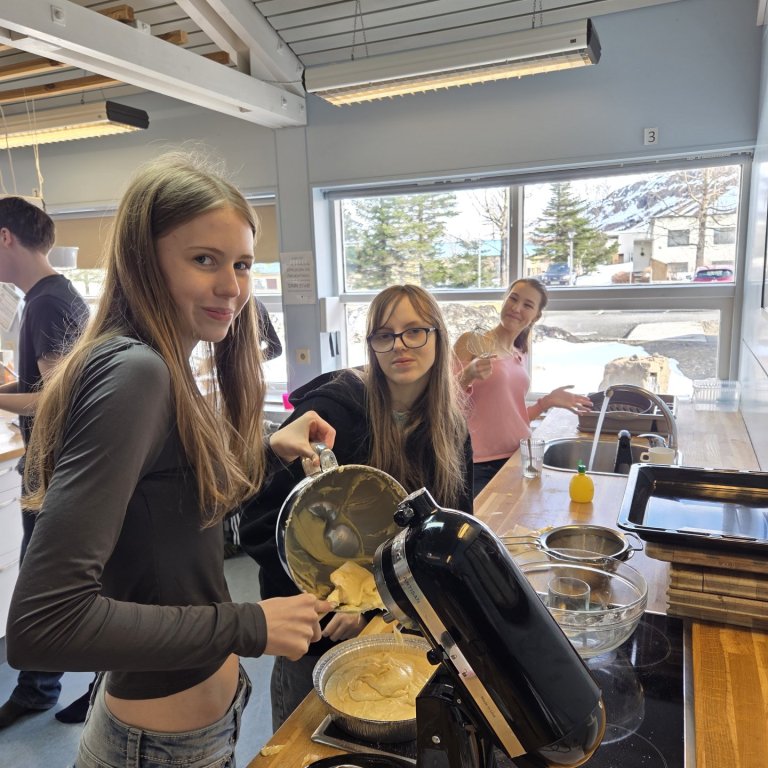 Heimilisfræði á unglingastigi