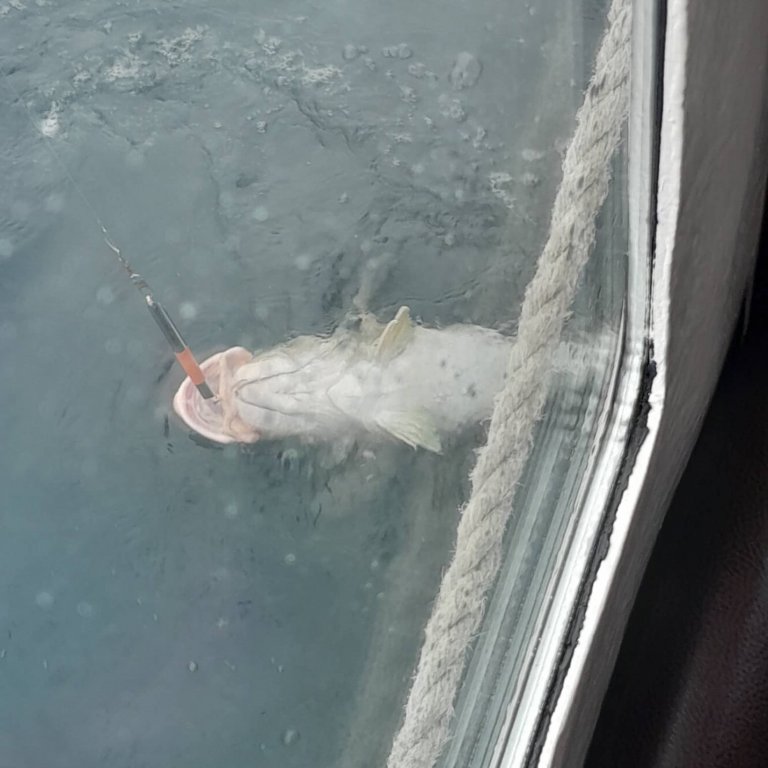 Sjóstangveiði með Þórbergi Torfasyni