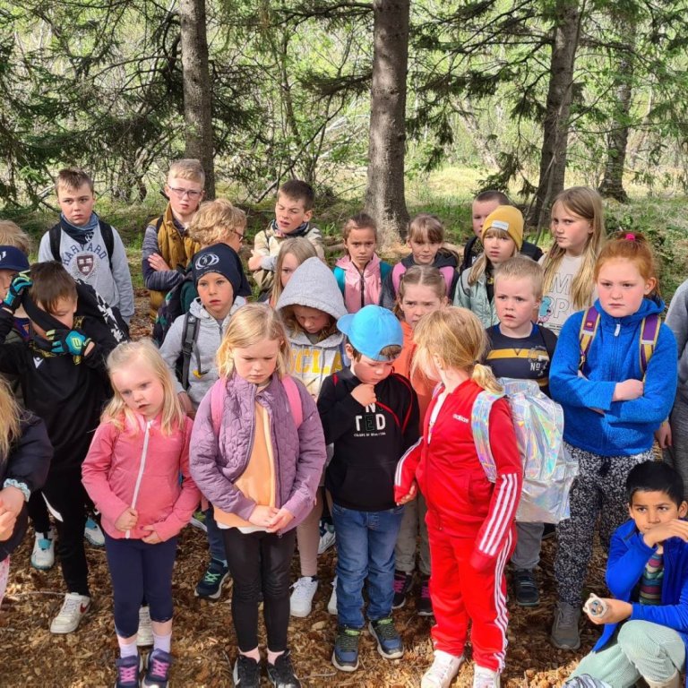 Myndir frá vordögum