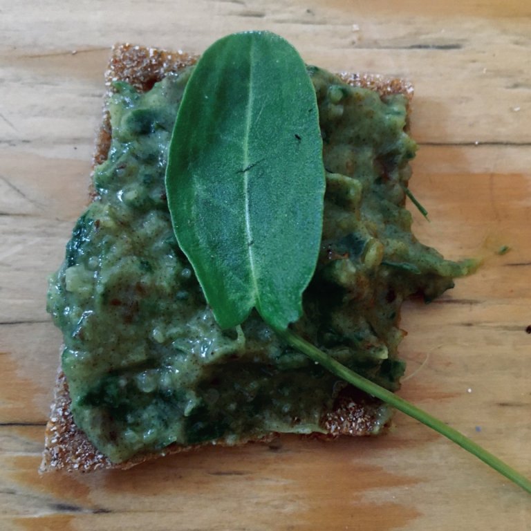 Dagur íslenskrar náttúru á leikskóladeild