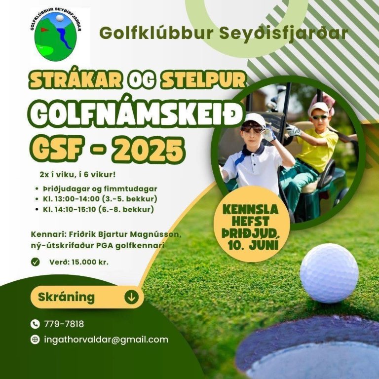 Golfnámskeið