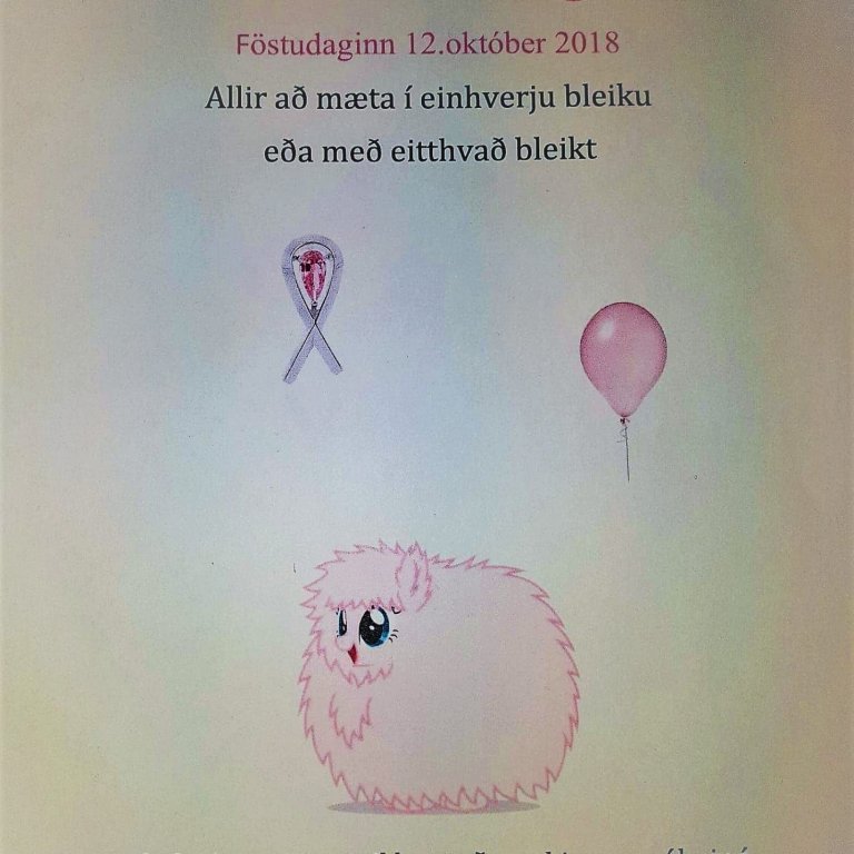 Bleiki dagurinn er á morgun