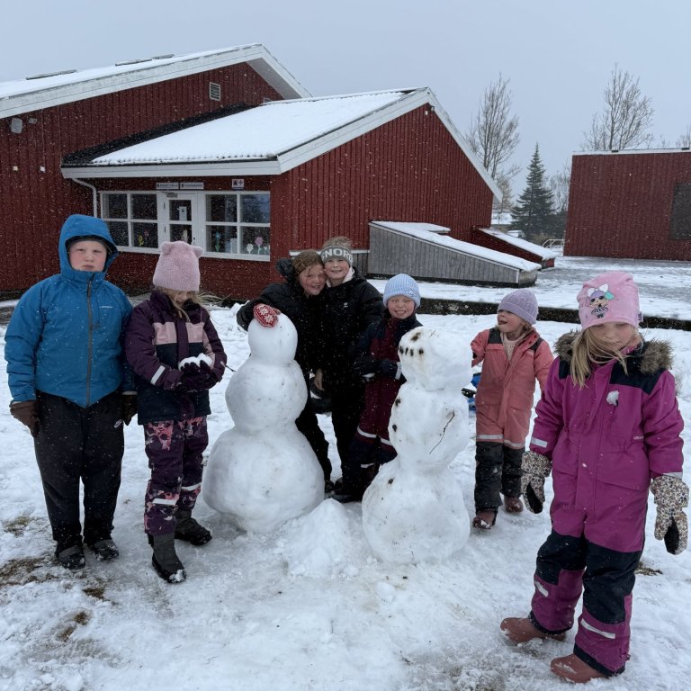 Fyrstu snjókallar vetrarins