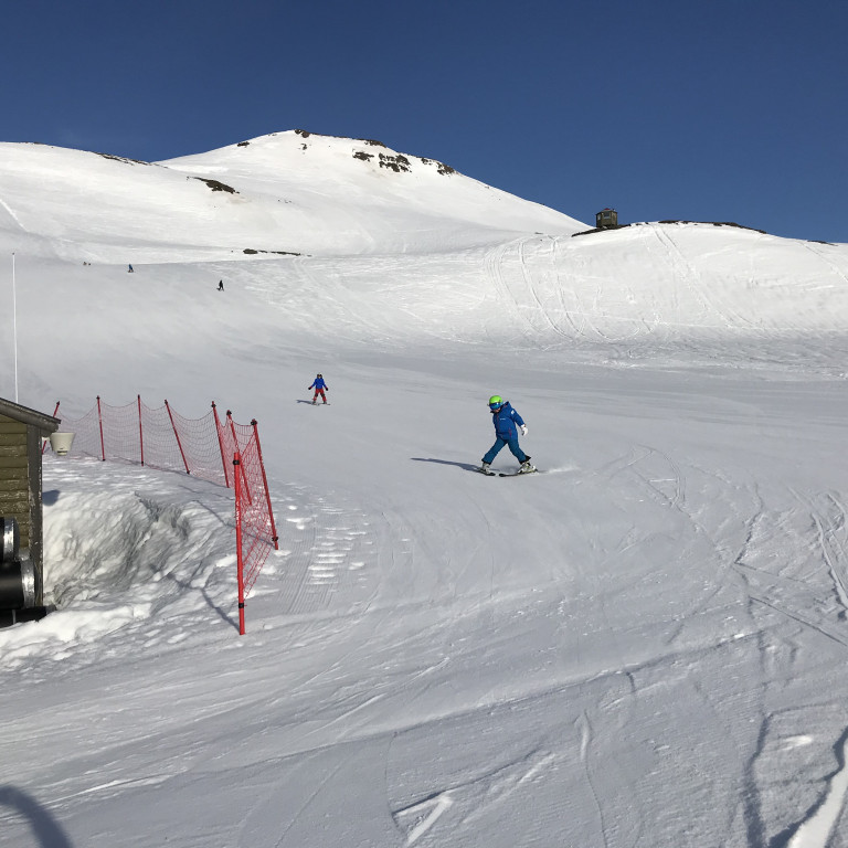 Myndir frá skíðadegi 20. mars