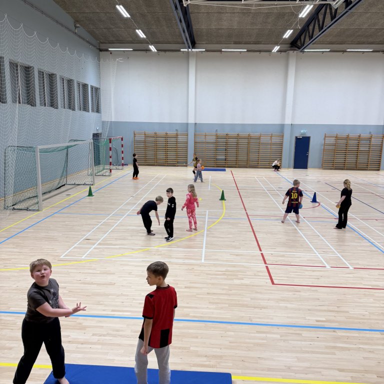 Nemenda og foreldraviðtöl