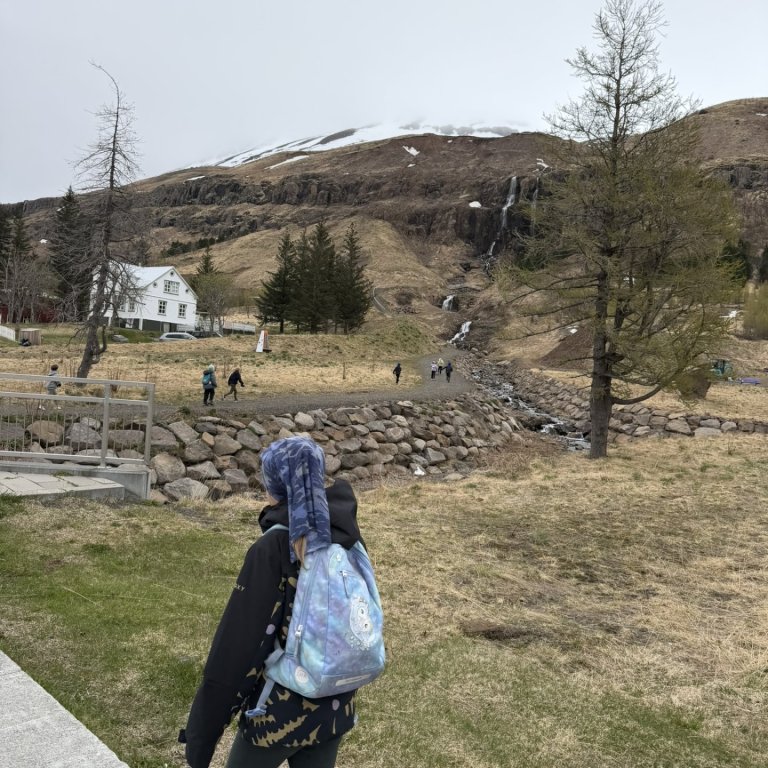 Múlaleikar á Seyðisfirði