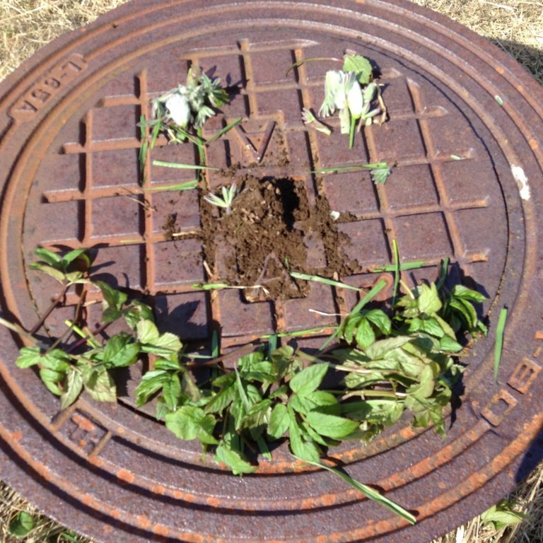 Nemendur á miðstigi fóru út í góða veðrið