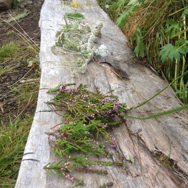 Haustverkin í heimilisfræði