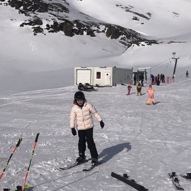 Vel heppnaður skíðadagur