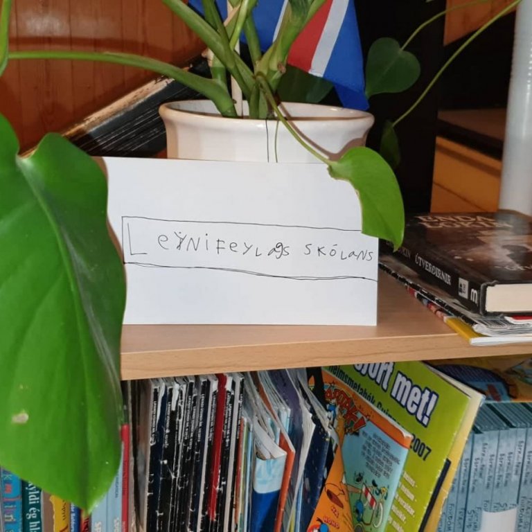 Leynifélag skólans