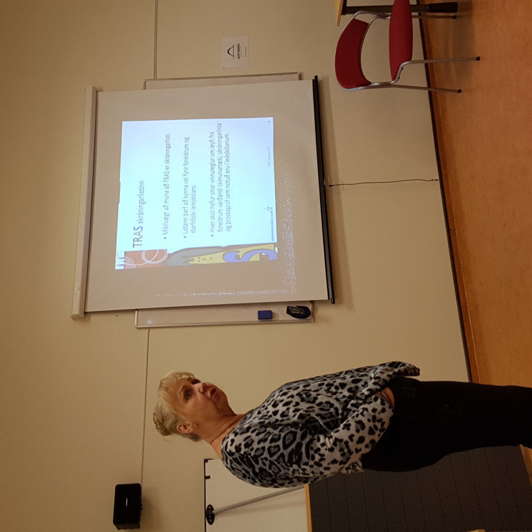 Endurmenntun leikskólakennara